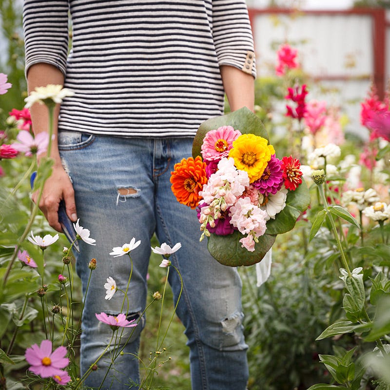 Bouquets For Days Wildflower Seed Mix