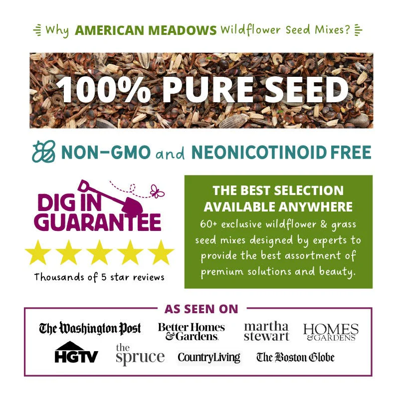 Midwest Pollinator Wildflower Seed Mix - Image 4