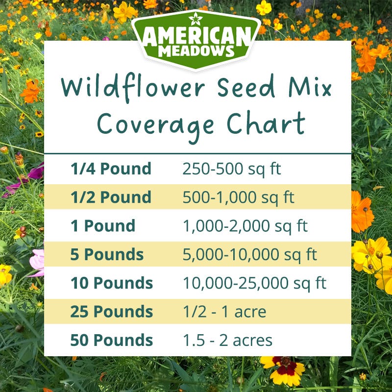 Midwest Pollinator Wildflower Seed Mix - Image 6